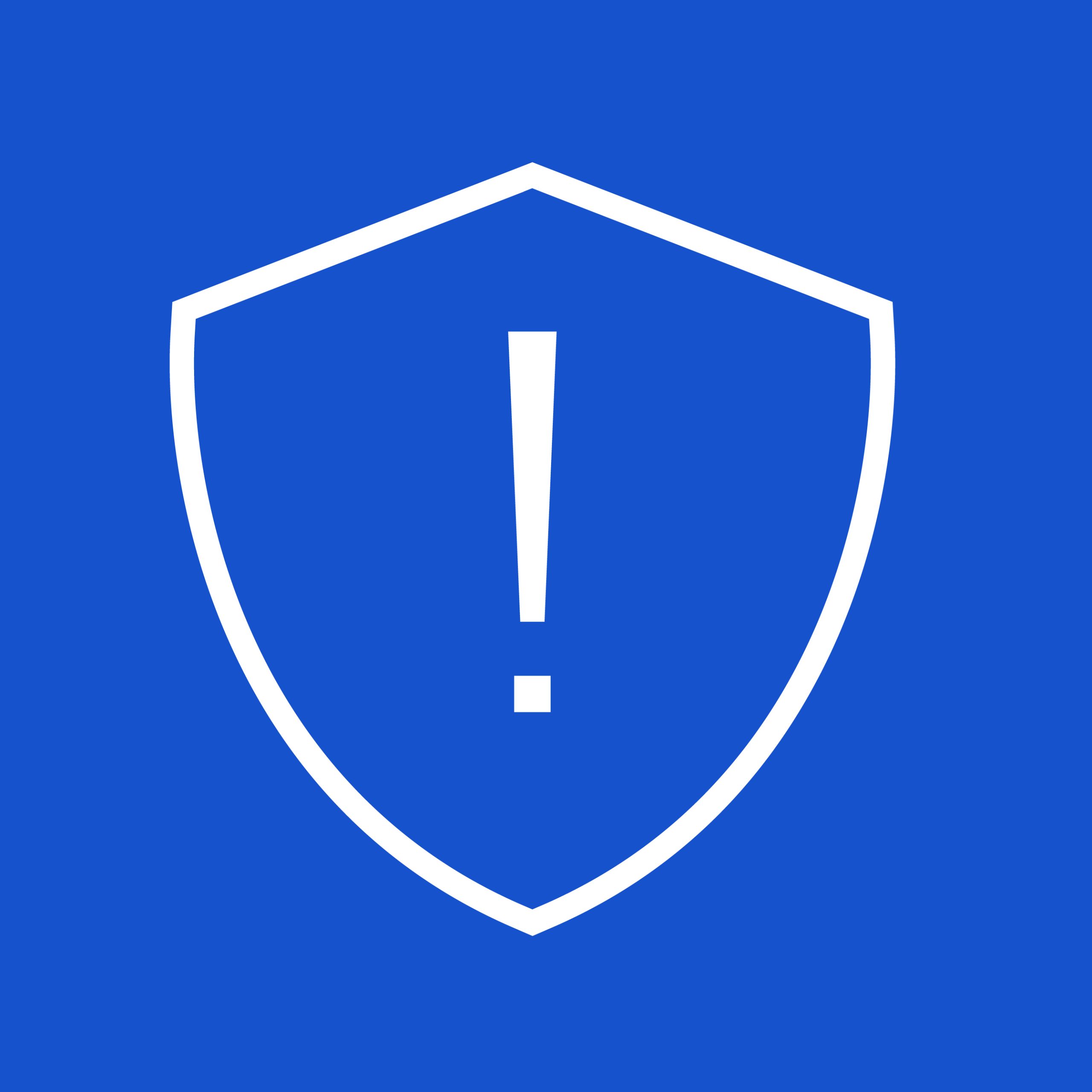 Cybersecurity Icon