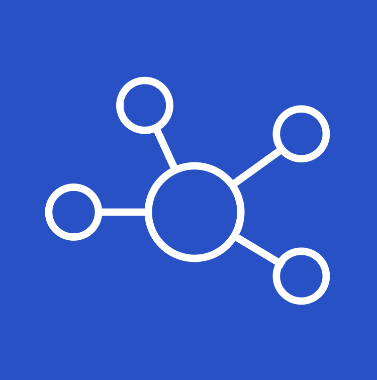 Network and Infrastructure Management Icon